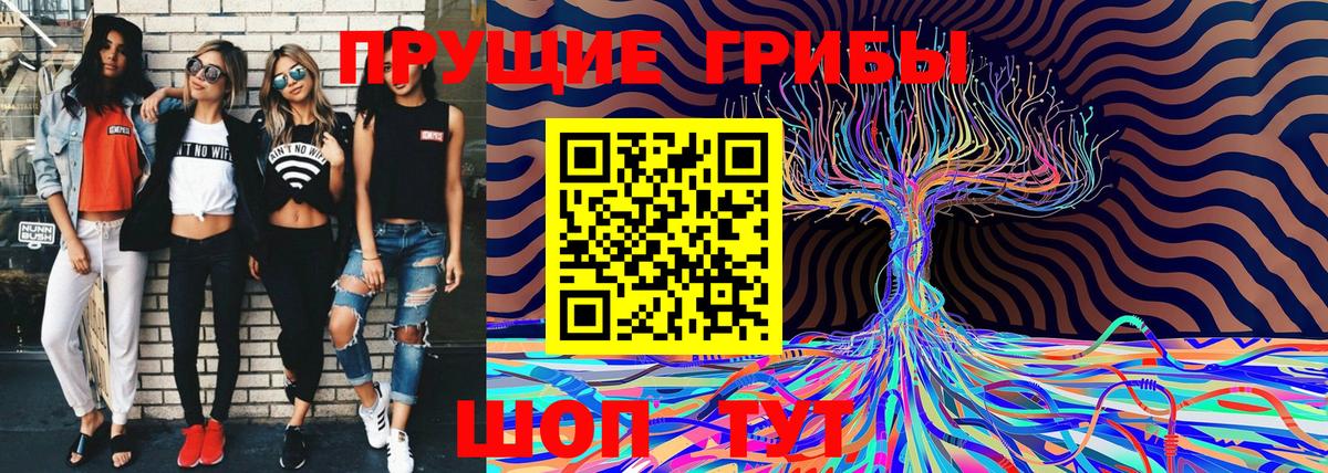 Псилоцибиновые грибы Magic Shrooms Ейск