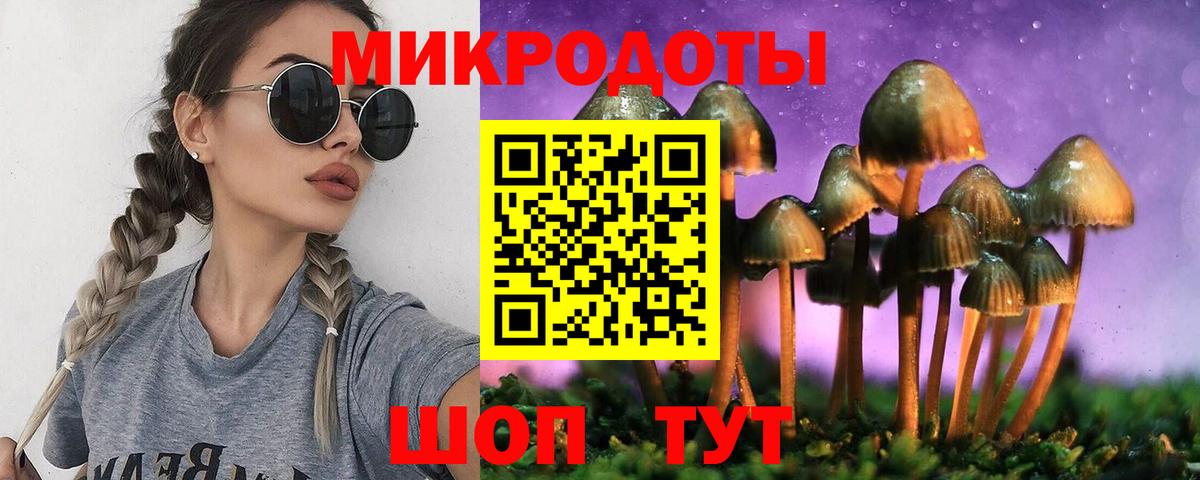 Ейск  Псилоцибиновые грибы Psilocybe  Вход с VPN 